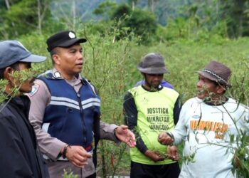 Bripka Adi Syafnur Arisal bersama petani di lahan ganja yang telah dirubah menjadi lahan palawija di Beutong Ateuh Banggalang, Kabupaten Nagan Raya, Aceh. Foto: Dok. Humas