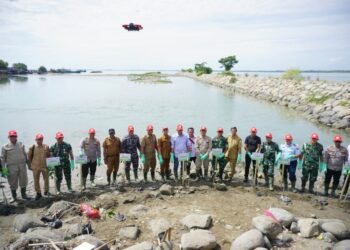 Kegiatan penanaman 2.000 batang pohon mangrove di Waduk Pusong Lama