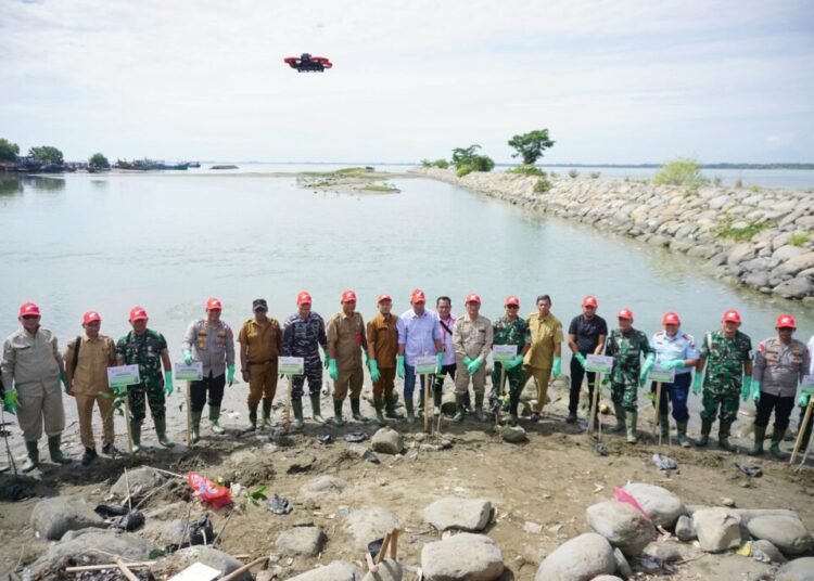 Kegiatan penanaman 2.000 batang pohon mangrove di Waduk Pusong Lama