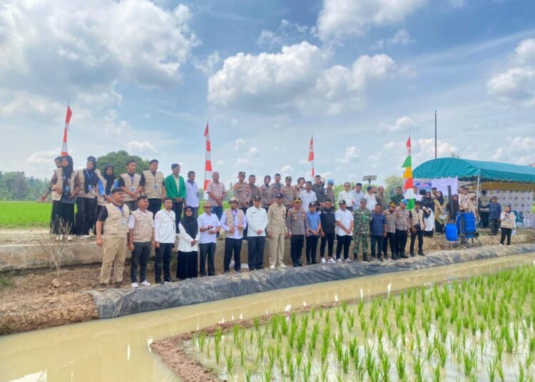 BEM Unimal meluncurkan program inovatif bertajuk Smart Minapadi di Gampong Alue Keurinyai, Kecamatan Banda Baro, Kabupaten Aceh Utara