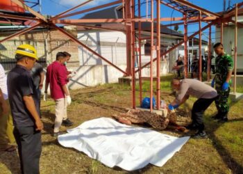 Mahasiswa asal Aceh Tengah, ditemukan meninggal dunia setelah diduga terjatuh dari Self Supporting Tower (SST) di Desa Batuphat Timur, Lhokseumawe, Selasa (28/10/2025) pagi
