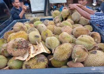 Kapolres Lhokseumawe, AKBP Ahzan, memborong hasil panen durian petani Desa Gunci, Kecamatan Sawang, Aceh Utara