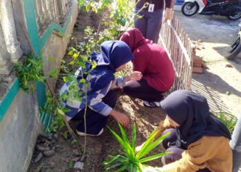 Mahasiswa KKN-PPM Kelompok 50 Universitas Malikussaleh menanam kembali apotek hidup di halaman Kantor Desa Batuphat Barat